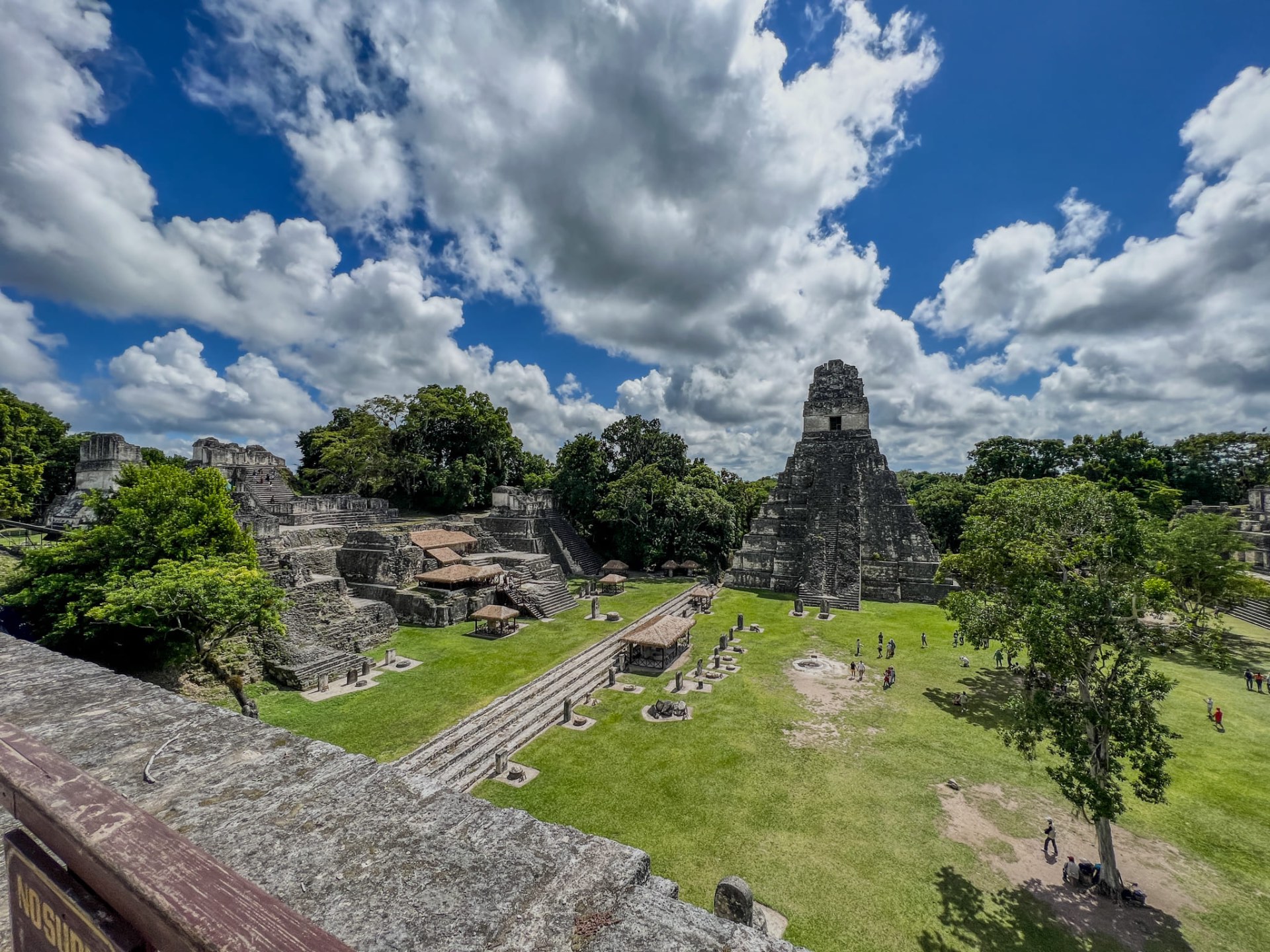 Panoramica dei templi maya di Tikal con la giungla intorno