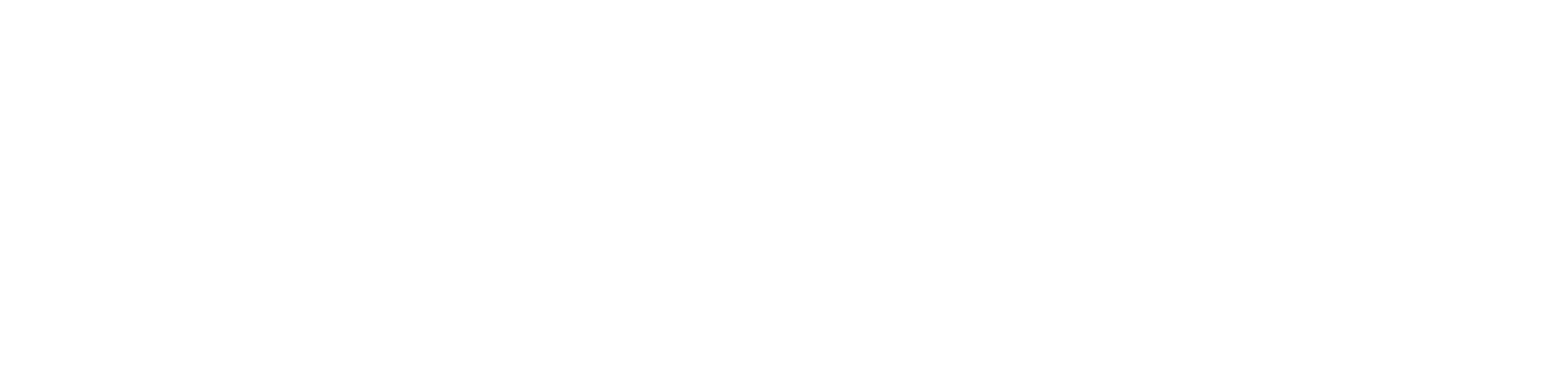 Brand partner